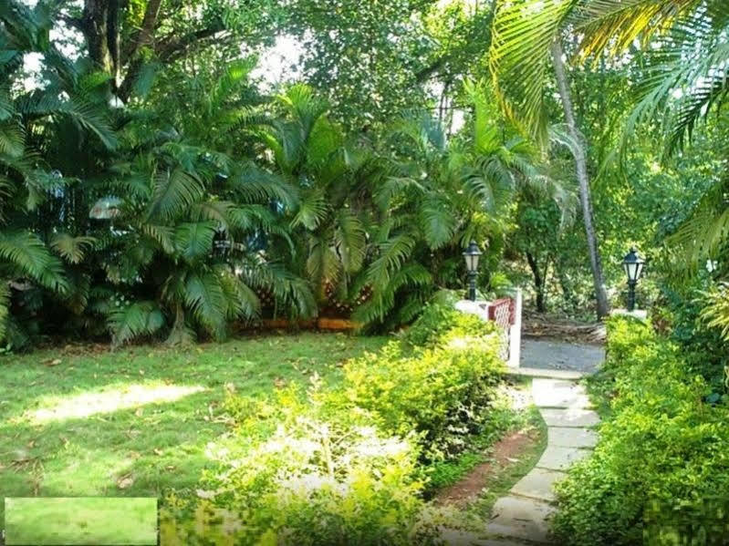 Hotel Little Italy Calangute Zewnętrze zdjęcie